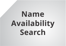 Company Name search