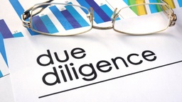 Due Diligence of Company